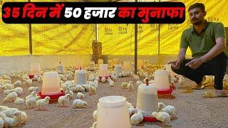 कम्पनी से जुड़कर मुर्गी पालन  Poultry Farming in India   किसानो को कितना फायदा ?