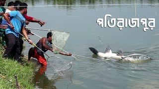 শীতে পতিরাজপুর দানব আকৃতি মাছ শিকার  BIG FISHING  ISHWARDI