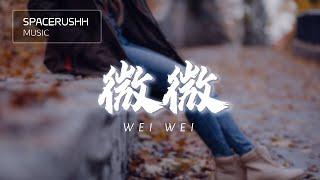 微微 Wei Wei - 傅如乔 Fu Ru Qiao 拼音 PINYIN LYRICS