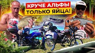 Едем на Альфах на Рыбалку Альфа Regulmoto RM-3. Тест кофров.