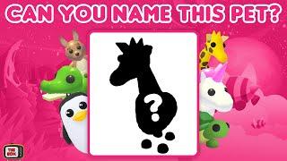Name that Adopt Me Pet  20 pets to identify in this challenge