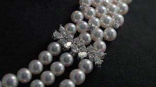 Mikimoto celebrates its 130th anniversary - The Elegance of Mikimoto Pearls  MIKIMOTO