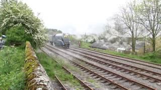 Bittern No 4464 Wensleydale Railway