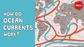 How do ocean currents work? - Jennifer Verduin