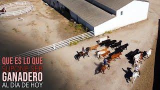 Los Toros Bravos del Niño de la Capea y Que es lo que supone ser ganadero al día de hoy