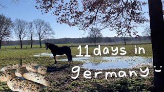 germany vlog  making bread outings german food good vibes  reading week