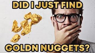 GoldNPaydirt.com Flawless Premium Nugget Bag Gold Paydirt Review #321