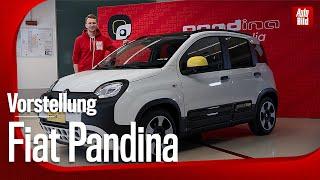 Fiat Pandina 2024  Ist er der fortschrittlichste und sicherste?  Vorstellung mit Jan Götze