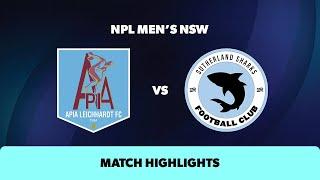 NPL Mens NSW Round 23 Highlights – APIA Leichhardt FC v Sutherland Sharks