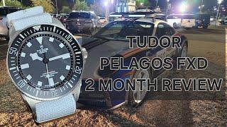 Tudor Pelagos FXD Black - 2 Month Review