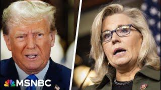 Liz Cheney PAC honors D-Day says Trump driven by spite revenge and self-pity in new ad