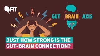 The Gut-Brain Axis How strong is the connection between your gut and your mental health? The Quint