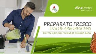 Come fare in casa il Preparato di Aloe Arborescens secondo la ricetta di Padre Romano Zago