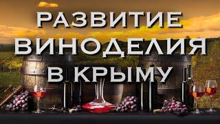 развитие виноделия в крыму  виноград  массандра  крымское вино   винодел   крымские вина