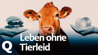 Vegan leben Auf tierische Produkte verzichten  Quarks