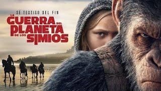 El Planeta de los Simios La Guerra 2017 HD 1080p Películas Completas en Español Latino