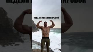 Моя программа на март