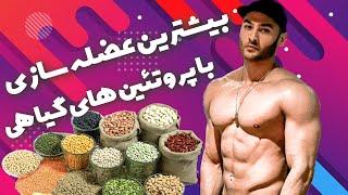 چگونه با گیاه خواری عضله بسازم ؟ ۳۴۷