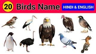 20 पक्षियों के नाम हिंदी और इंग्लिश में  20 Birds Name in Hindi and English  Birds Name
