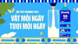 Vắt và đóng hộp trong ngày - Cho Sữa tươi Vinamilk 100% tươi mỗi ngày