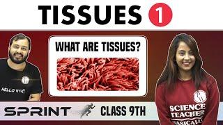 Tissues 01  What are Tissues?  Class 9  NCERT  Sprint