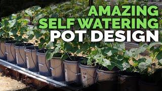 Best Self Watering Pot Design Ive Seen Yet