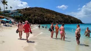 Virgin Islands Beach Walk - Coki Point - March 21 2023 - St. Thomas USVI