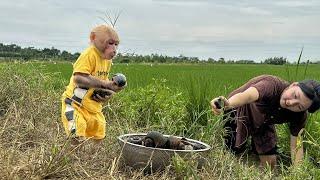 Bibi was surprised to harvest so many snails in the countryside field