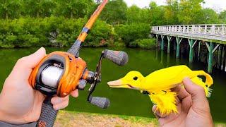 Fishing a Duck Lure for Pond MONSTERS