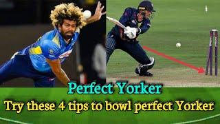 बस ये 4 टिप्स की प्रैक्टिस करो फिर देखो कैसे perfect Yorker जाता है How to bowl perfect Yorker