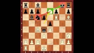 Chess for Beginners. Chess Openings #15. Vienna Game. Eugene Grinis. Chess