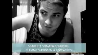 Scarlett Sonata Update