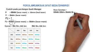 Tips Tutorial Genetika Kasus Dihibrid metode tabel