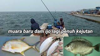 mancing di muara baru dam ijo jakarta utara spot viral sejuta umat #mancing #mancingpinggiran #viral