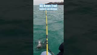 #browntrout #fishing #shorts #direstraits #moneyfornothing #lakemichigan #trolling #bigfish #fun