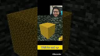 Minecraft raw gold most popular illusions #shortvideo #minecraft