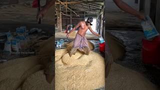 SHOCKING Murmure Making  फैक्ट्री में इस तरह बनाए जाते हैं मुरमुरे #indianstreetfood #shorts