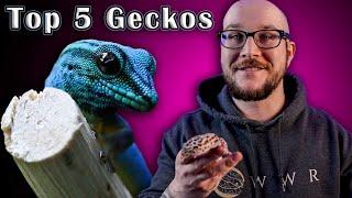 Top 5 BEST Pet Geckos