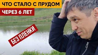 Без Пленки Глиняный пруд. Что стало с прудом из глины через 6 лет? Показываю этапы строительства.