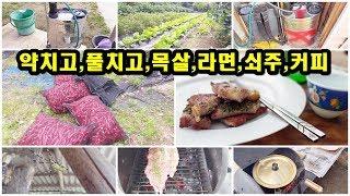 귀촌귀농 배추 무름병약치고풀치고목살한점라면쇠주커피