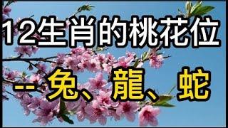 12生肖的桃花位 強化人際關係  兔、龍、蛇