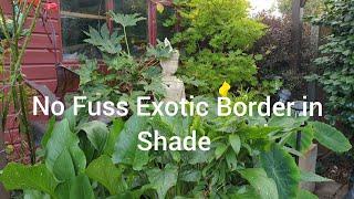 No Fuss Exotic Border for Small Garden