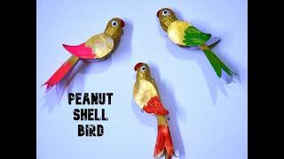 Peanut shell craft ideas  best out of waste  best out of waste ideas