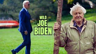 sir David Attenborough narrates a wild Joe Biden