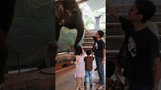 Bocah Kuliner Ketemu #gajah di #tamansafari Prigen