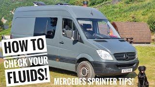 How to check ALL FLUIDS on a Mercedes Sprinter