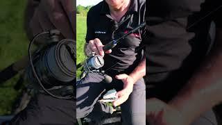 TOP TIPS Setting The Reel Drag For The Situation To Land More Fish