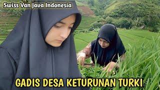 Gadis Desa Cantik Keturunan TURKI Mecari Tanaman Genjer Di Sawah  Pedesaan Sunda