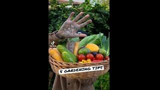 Top 5 gardening hacks #shorts #short #gardening #gardeningtips #gardening