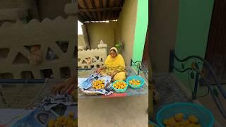 Sub Kharab Ho Gaya #rabialife #rabiaahmadvlog #shortvideo #villagelife #rabiavlogs